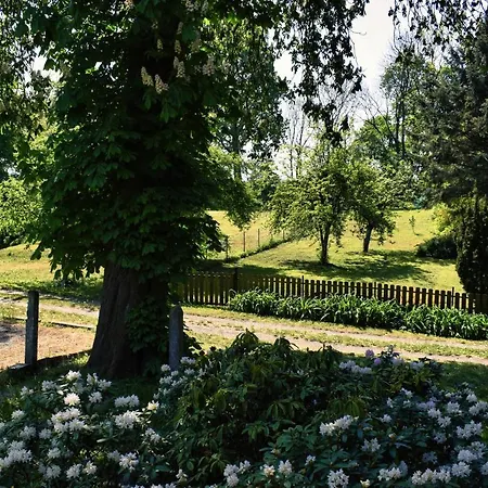 Apartament W Palacu Mysliwskim